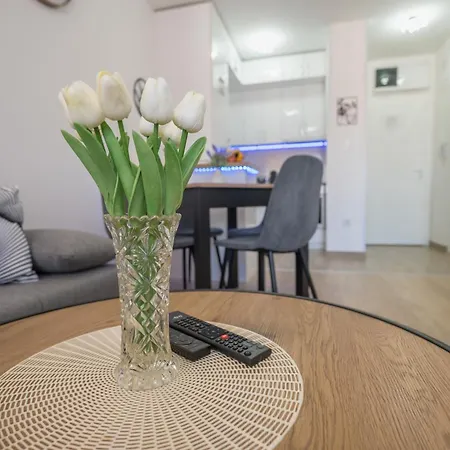 Tri Kralja 3 Баня-Ковиляча